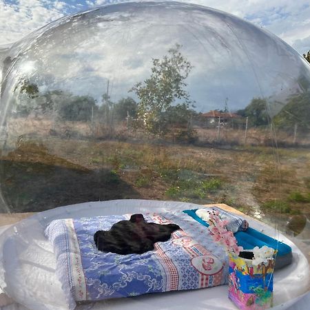 Caravans 10 Min To Tsonevo Lake & 35 Min To Black Sea エクステリア 写真