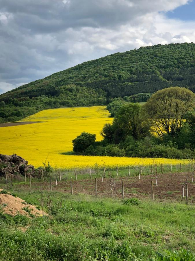 Caravans 10 Min To Tsonevo Lake & 35 Min To Black Sea エクステリア 写真